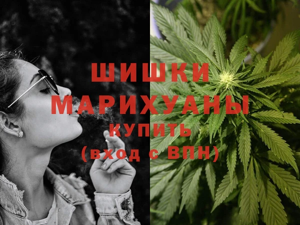 прущие грибы Богданович