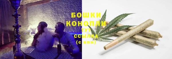 молекула духа Белоозёрский