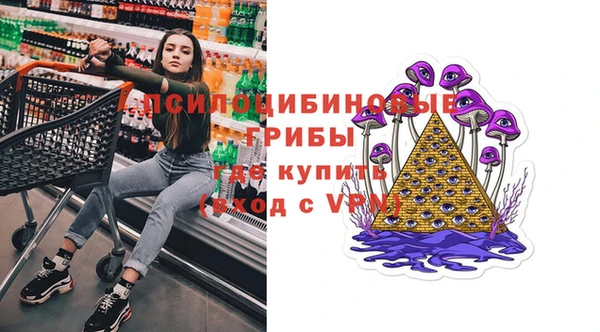 молекула духа Белоозёрский