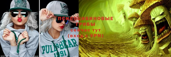 мяу мяу мука Белокуриха