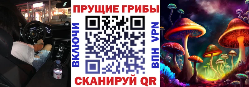 Псилоцибиновые грибы Psilocybine cubensis  Кстово 